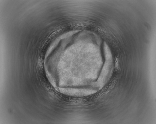 X0000112920819200909211051