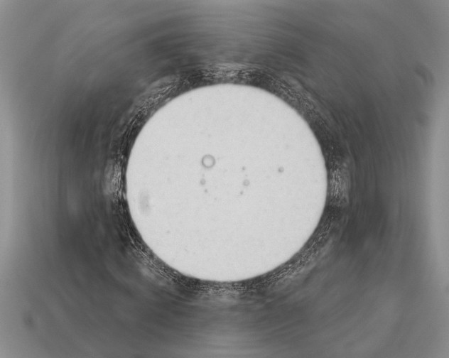 X0000112920820200909211051