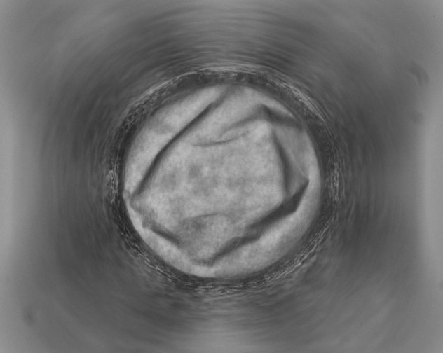 X0000112920821200909211051