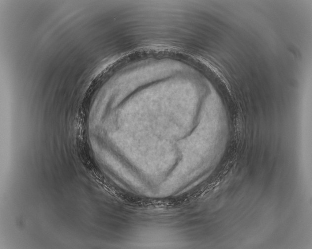 X0000112920823200909211051