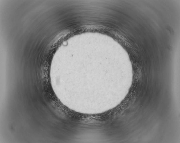 X0000112920824200909211051
