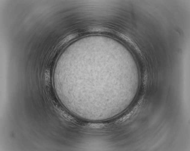 X0000112920825200909211051