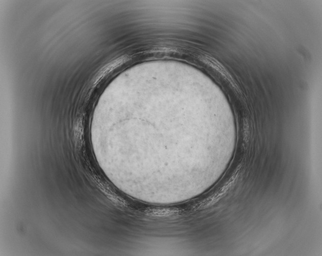 X0000112920826200909211051
