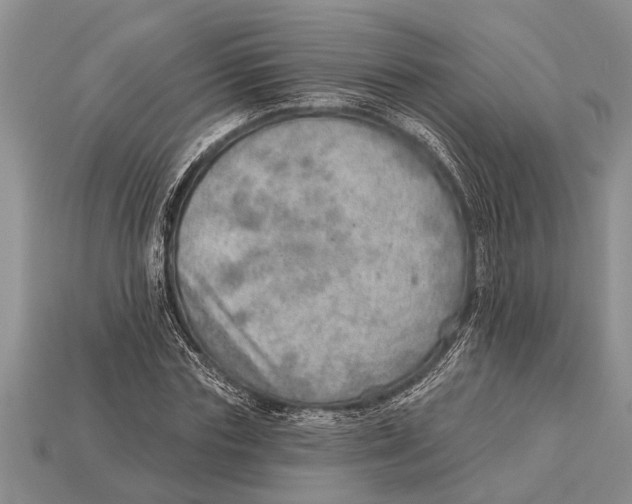 X0000112920827200909211051