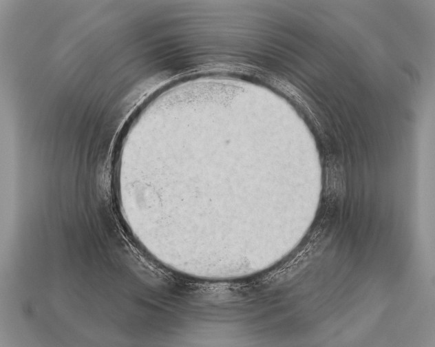 X0000112920828200909211051