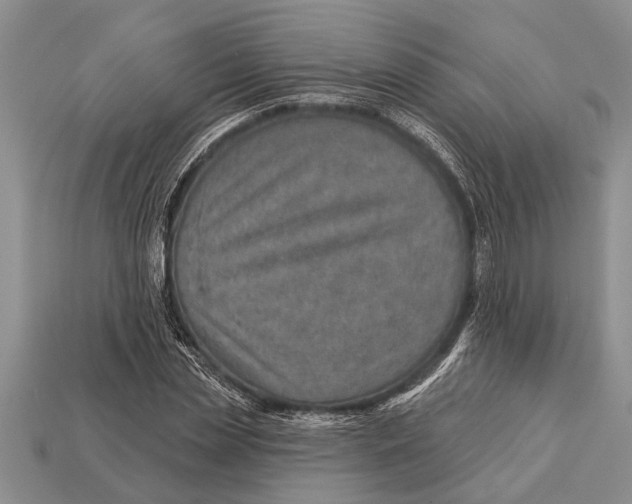 X0000112920829200909211051