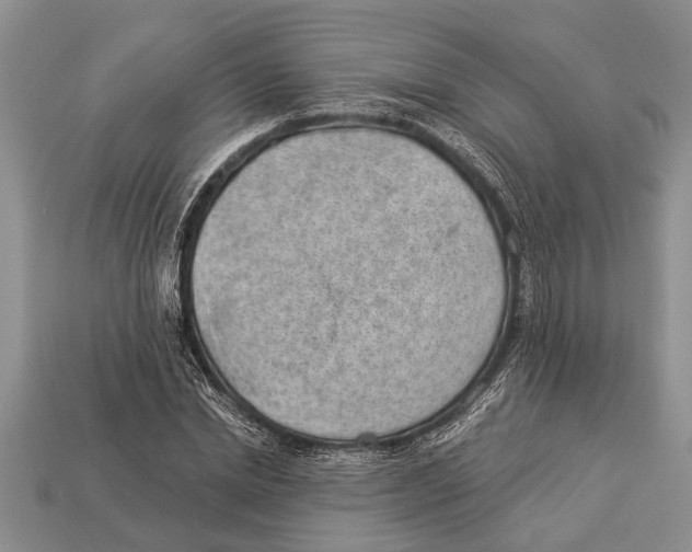 X0000112920830200909211051