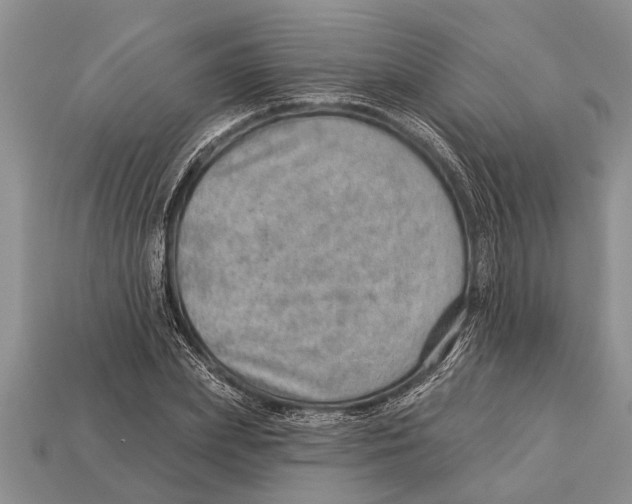 X0000112920831200909211051