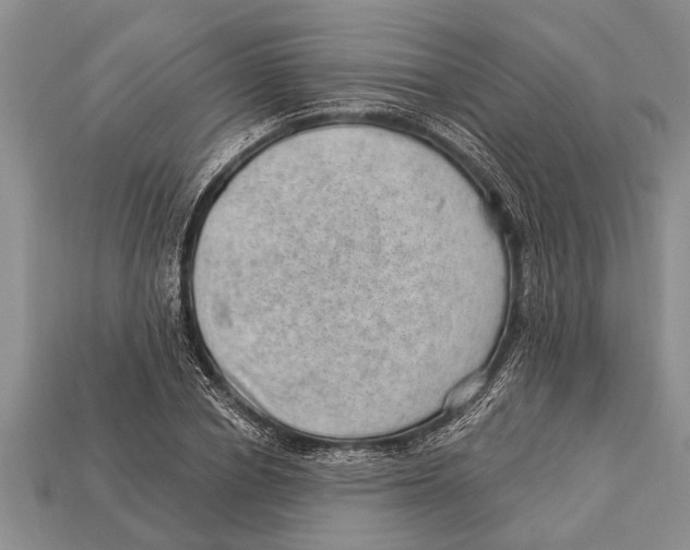 X0000112920834200909211051