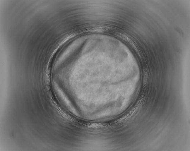 X0000112920835200909211051
