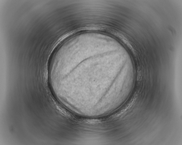 X0000112920837200909211051