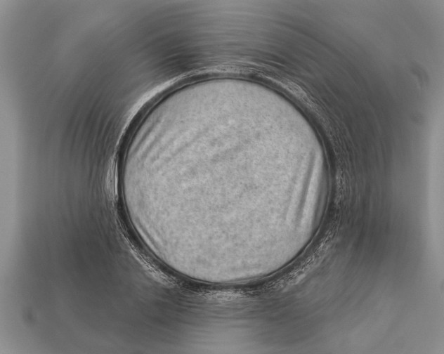 X0000112920838200909211051