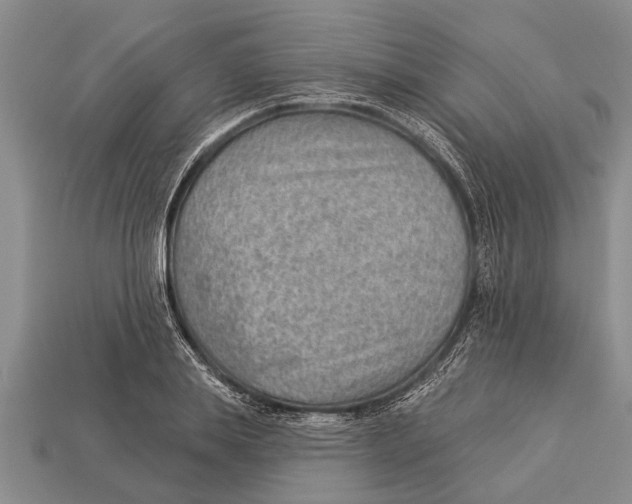 X0000112920839200909211051