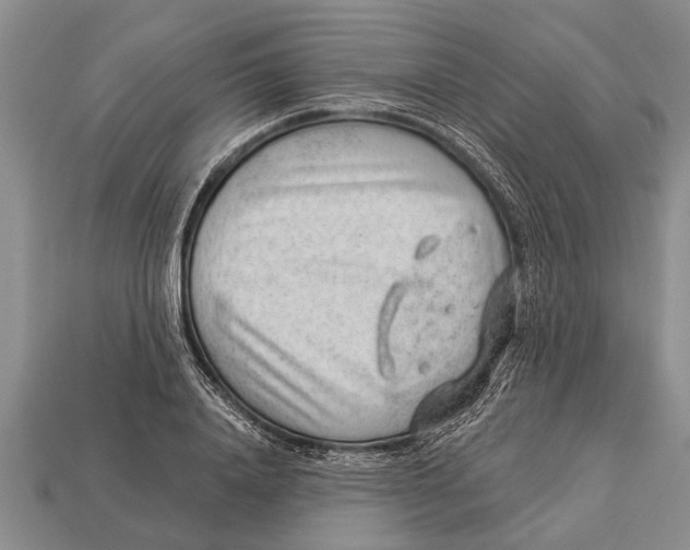 X0000112920840200909211051