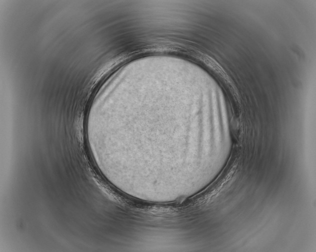 X0000112920842200909211051