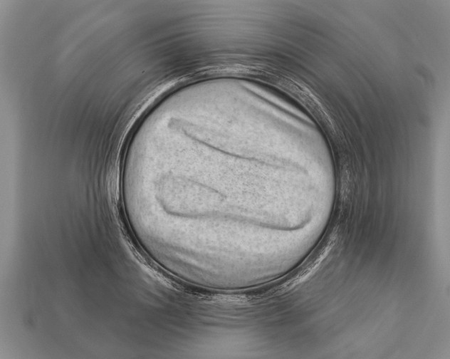 X0000112920844200909211051