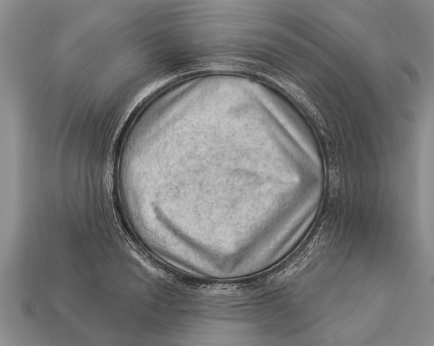 X0000112920846200909211051
