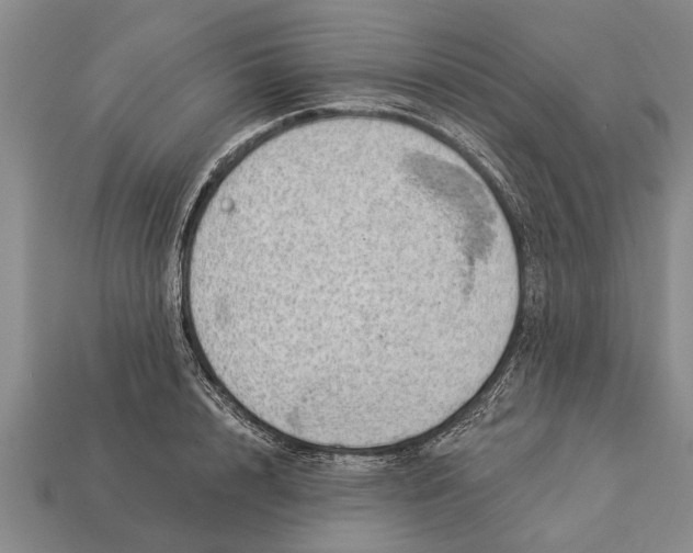 X0000112920848200909211051