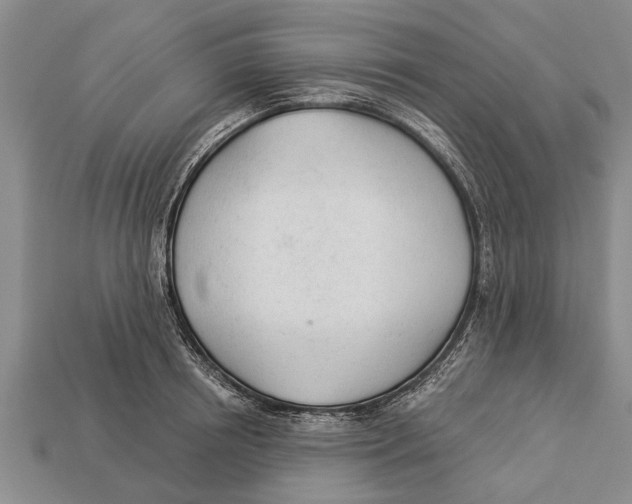 X0000112920850200909211051