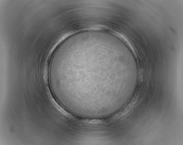 X0000112920851200909211051