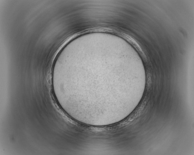 X0000112920852200909211051