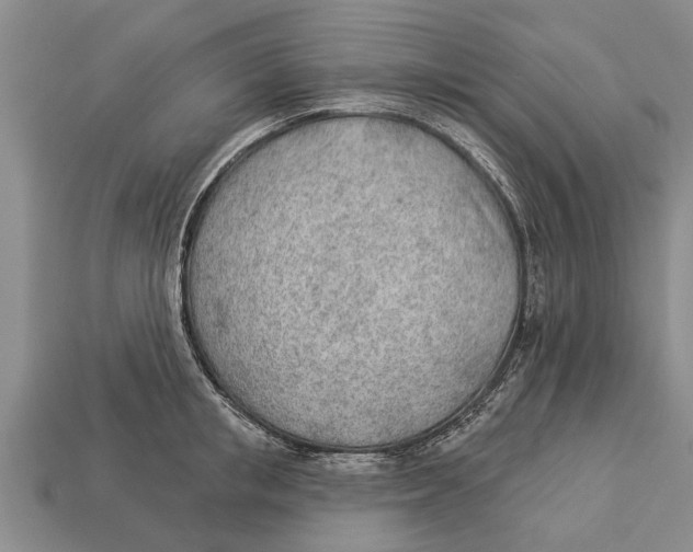 X0000112920853200909211051