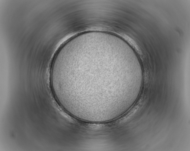 X0000112920854200909211051