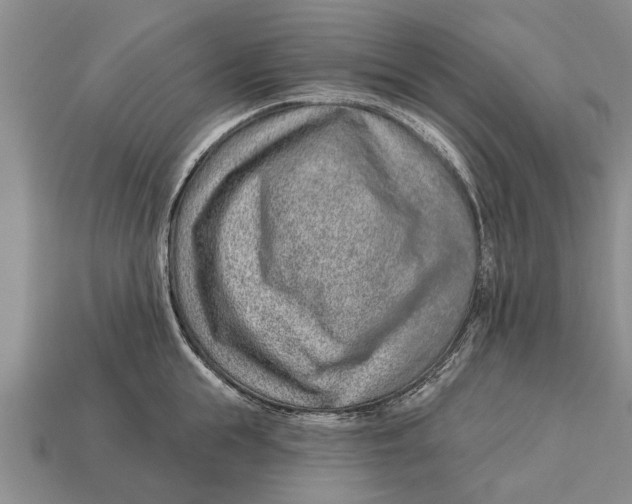 X0000112920855200909211051