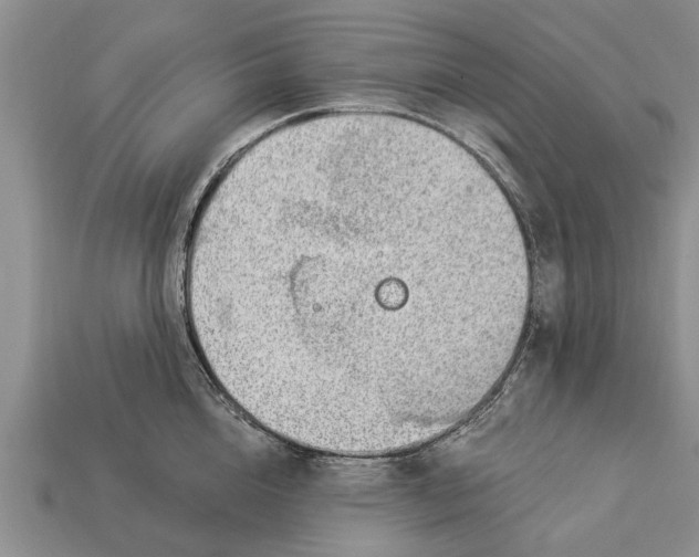 X0000112920856200909211051