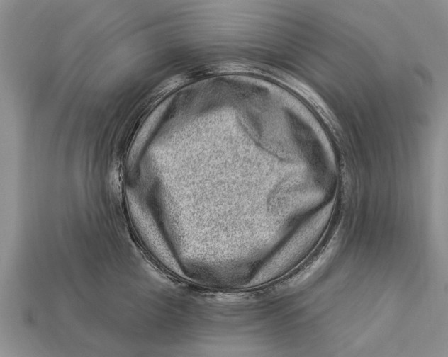 X0000112920857200909211051