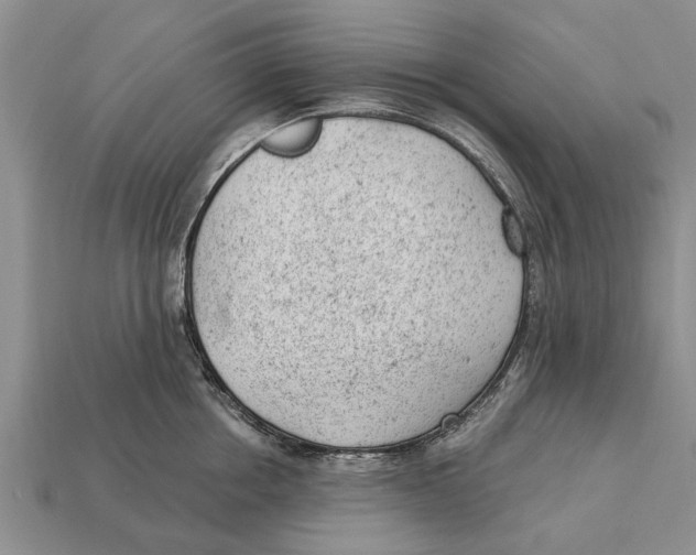 X0000112920858200909211051