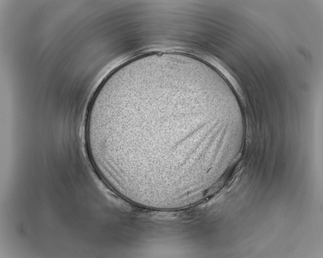 X0000112920861200909211051
