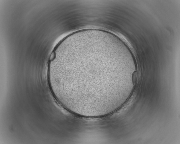 X0000112920862200909211051