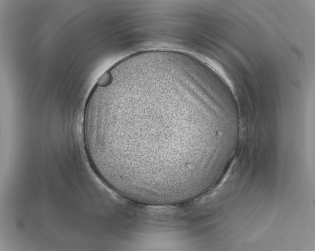 X0000112920863200909211051