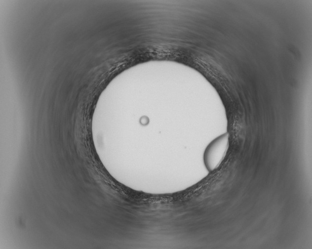X0000112920865200909211051