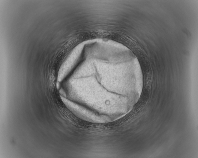 X0000112920866200909211051