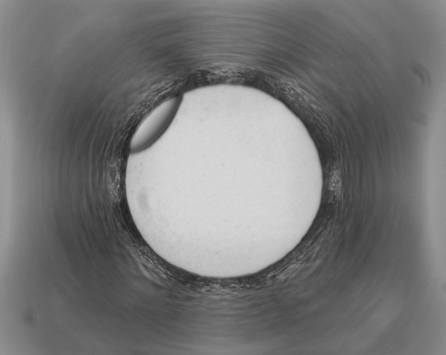X0000112920868200909211050
