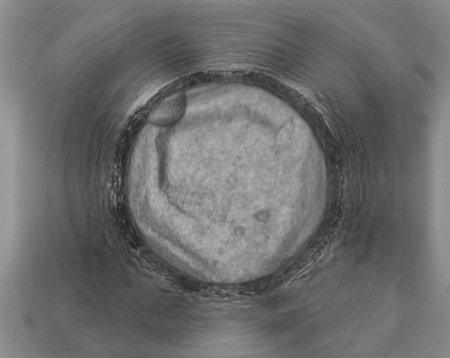 X0000112920871200909211050