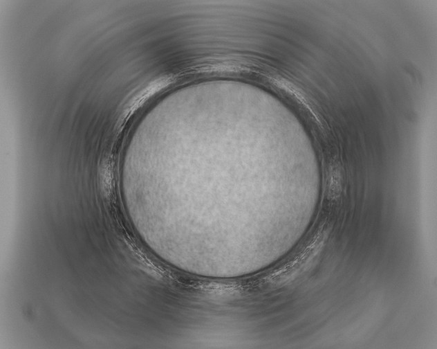 X0000112920874200909211050