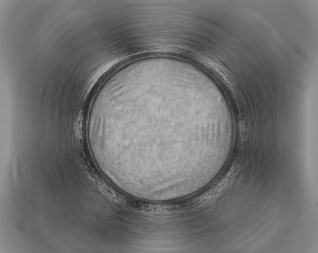 X0000112920875200909211050
