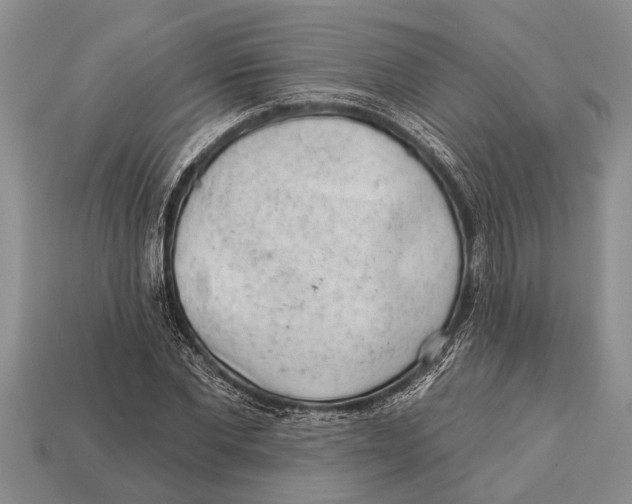 X0000112920877200909211050