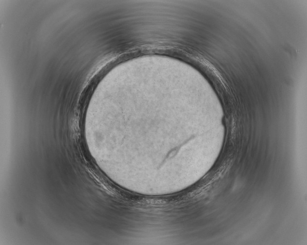 X0000112920878200909211050