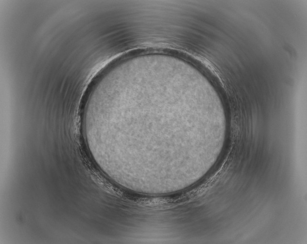 X0000112920879200909211050