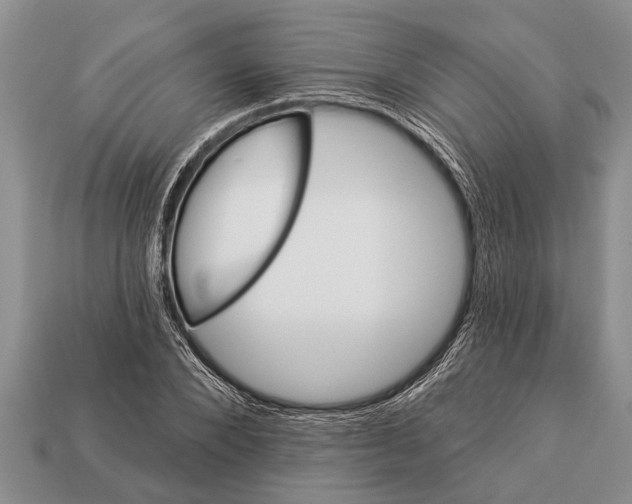 X0000112920880200909211050