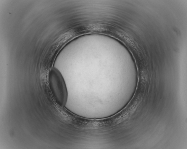X0000112920881200909211050