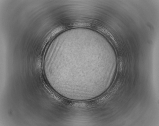 X0000112920882200909211050