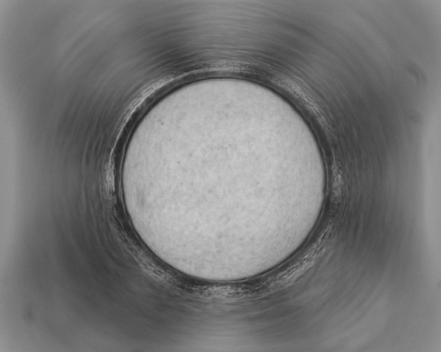 X0000112920883200909211050