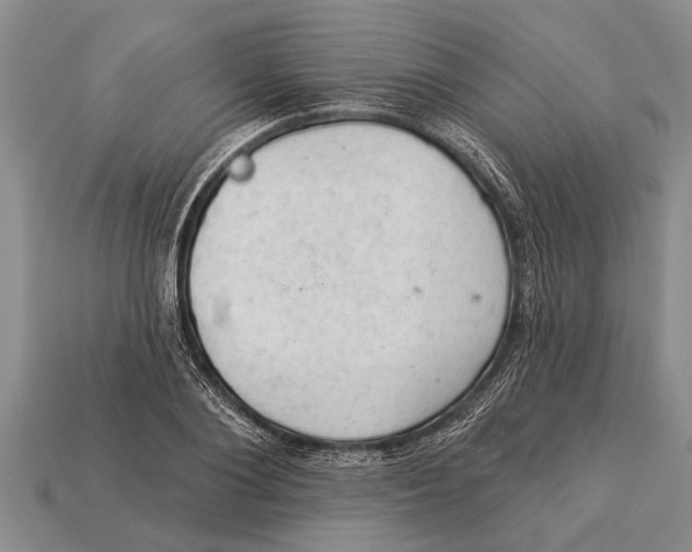 X0000112920884200909211050