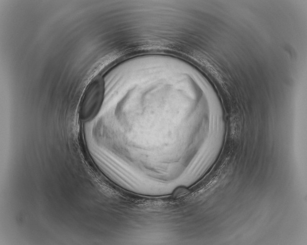 X0000112920885200909211050