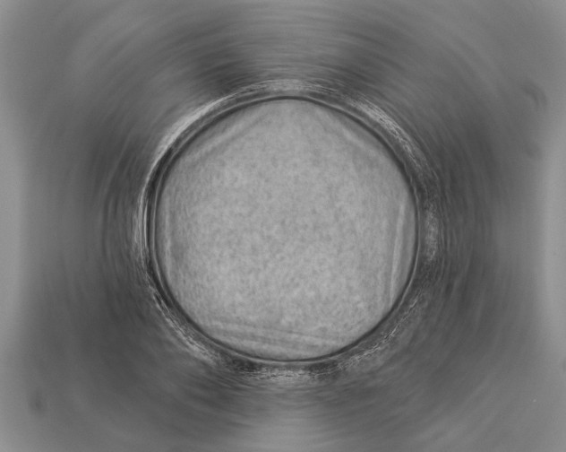 X0000112920886200909211050